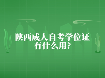 陕西成人自考学位证 