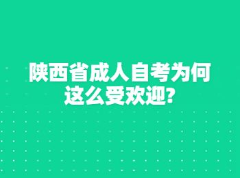 陕西省成人自考 